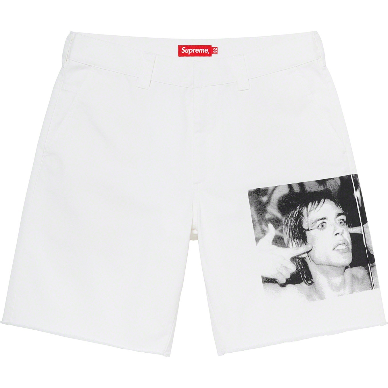 Iggy Pop Work Short view 5